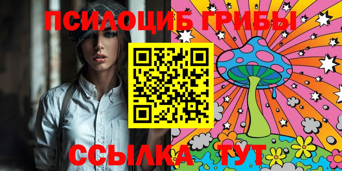 Галлюциногенные грибы MAGIC MUSHROOMS  где купить наркоту  Шелехов  Вход с VPN 