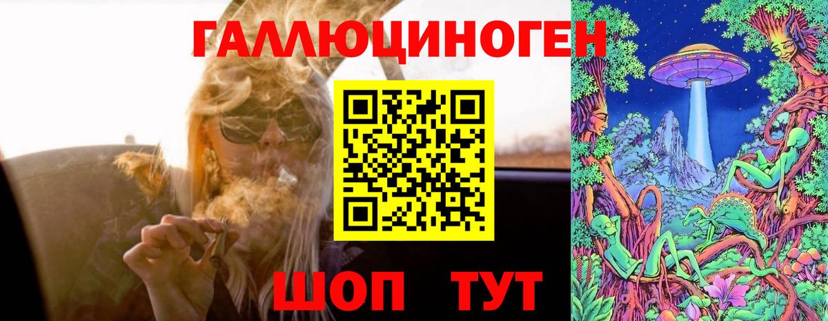 Псилоцибиновые грибы Psilocybine cubensis Шелехов